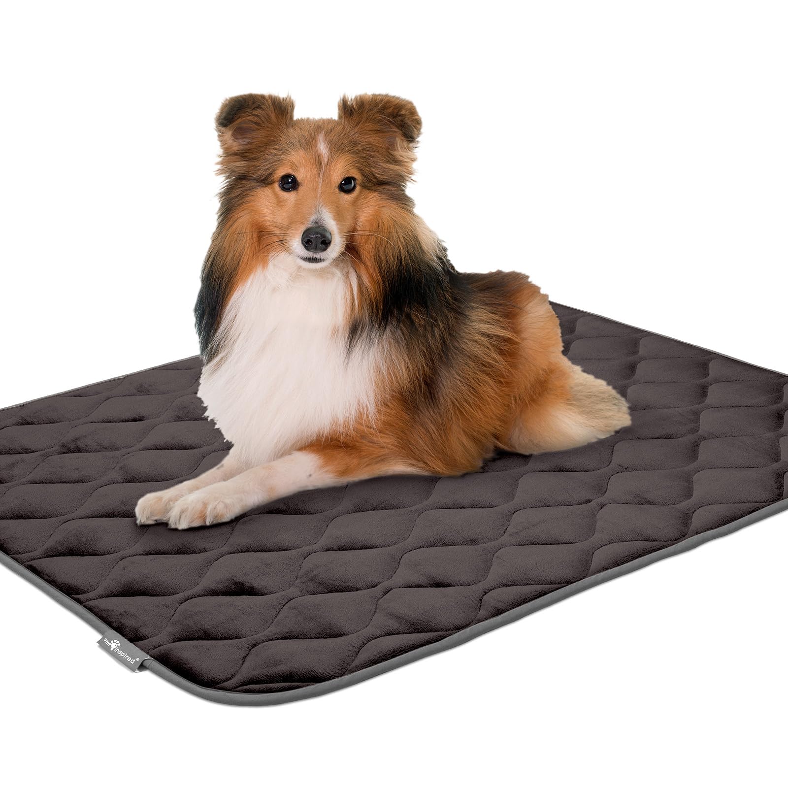Paw Inspired 41x28 gris, parfait compagnon de voyage et de repos pour chien