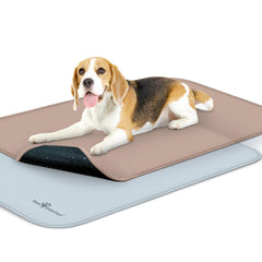 Paw Inspired-tapis-imperméable pour caisse, protège lit et caisse.