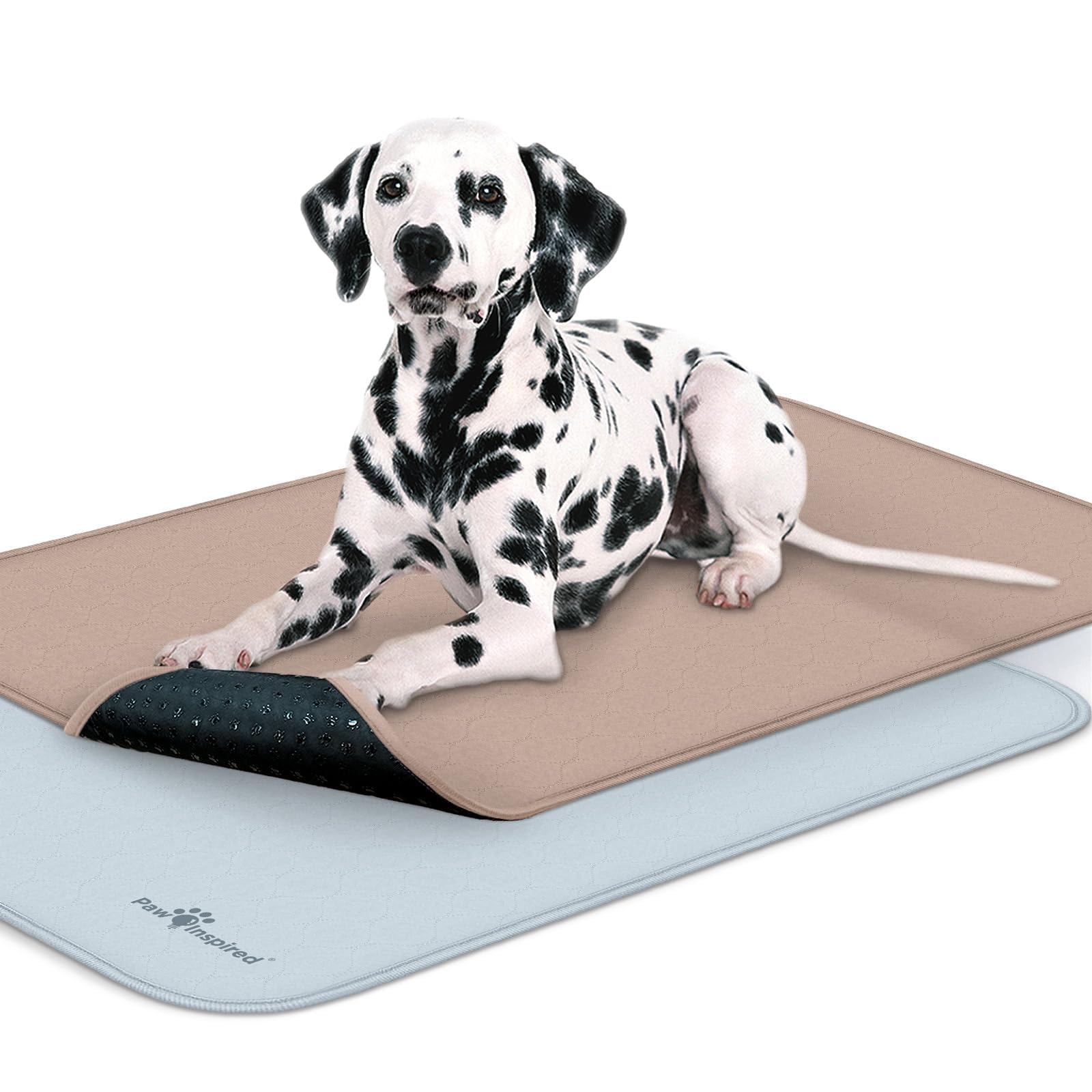 Paw Inspired: tapis lavable pour caisse chien 41x28 améliore propreté et confort.