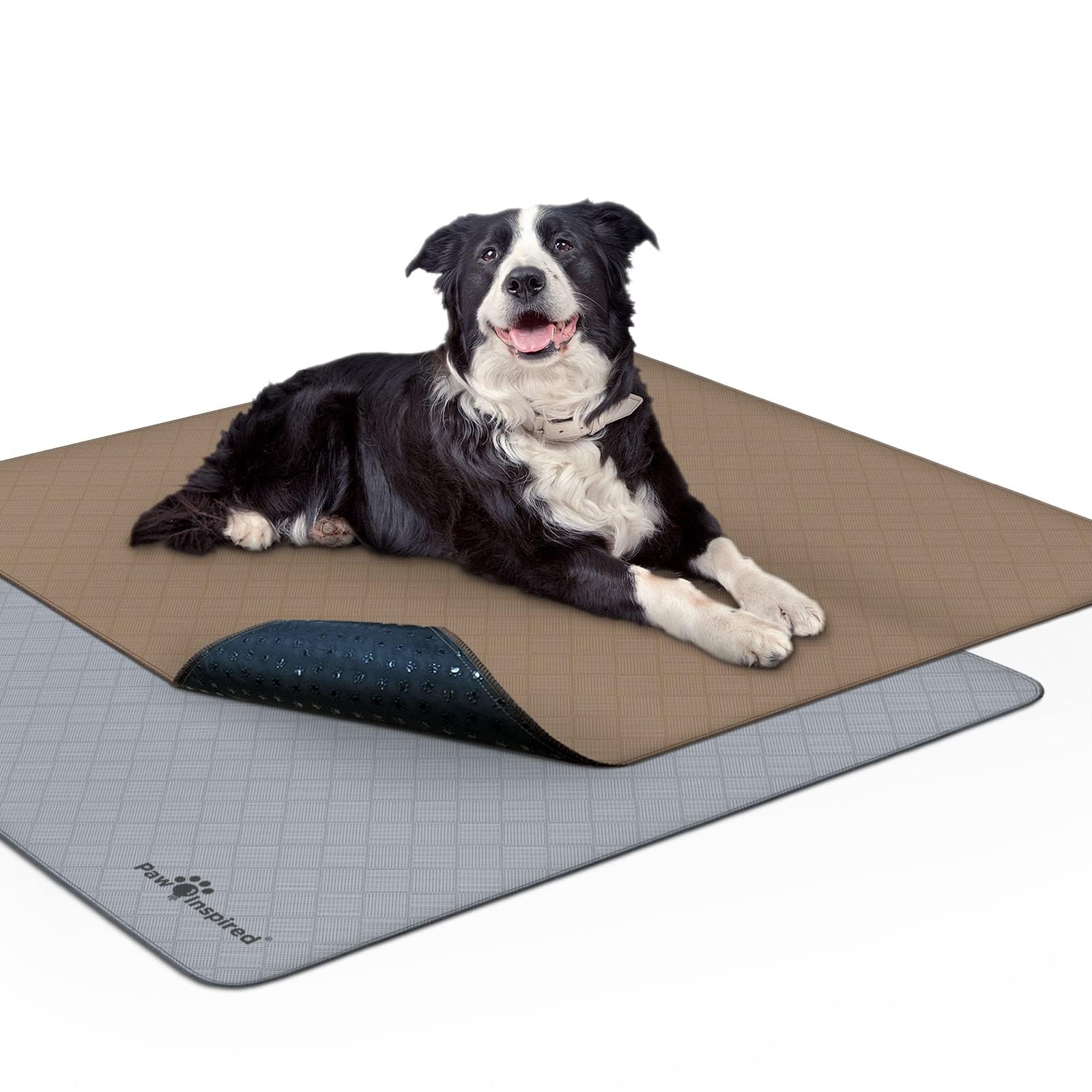 Paw Inspired Tapis Lavables: surface absorbante et protection des sols.