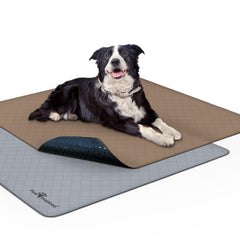 Paw Inspired Tapis Lavables: surface absorbante et protection des sols.