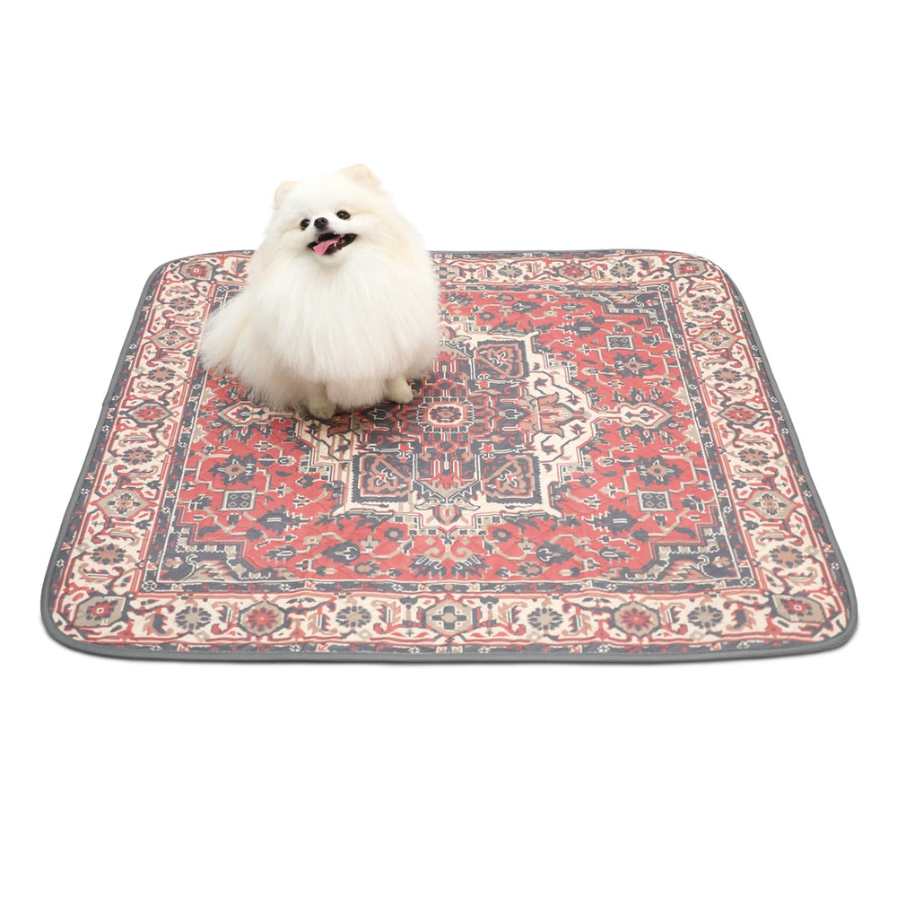 Paw Inspired tapis lavable et réutilisable simplifie l entretien et réduit les déchets
