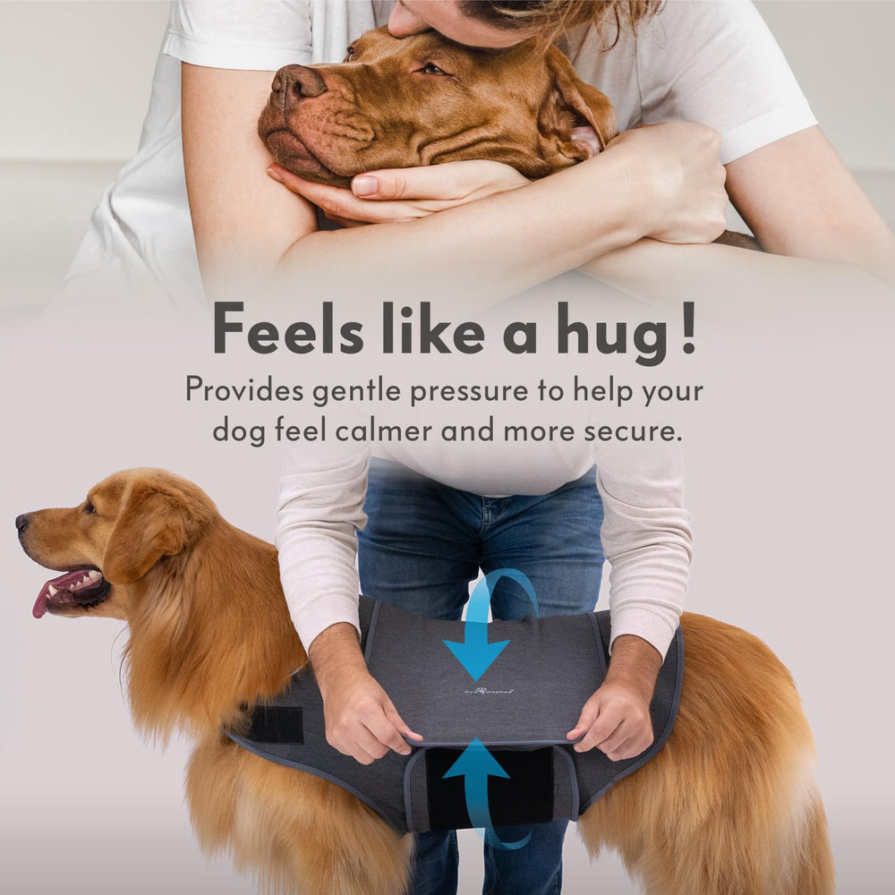 Paw Inspired veste compression confort respirant pour port quotidien.