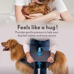 Paw Inspired veste compression confort respirant pour port quotidien.