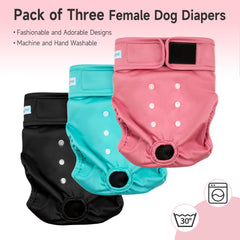 Paw Legend ajustement arrière et velcro faciles pour maintien sûr.