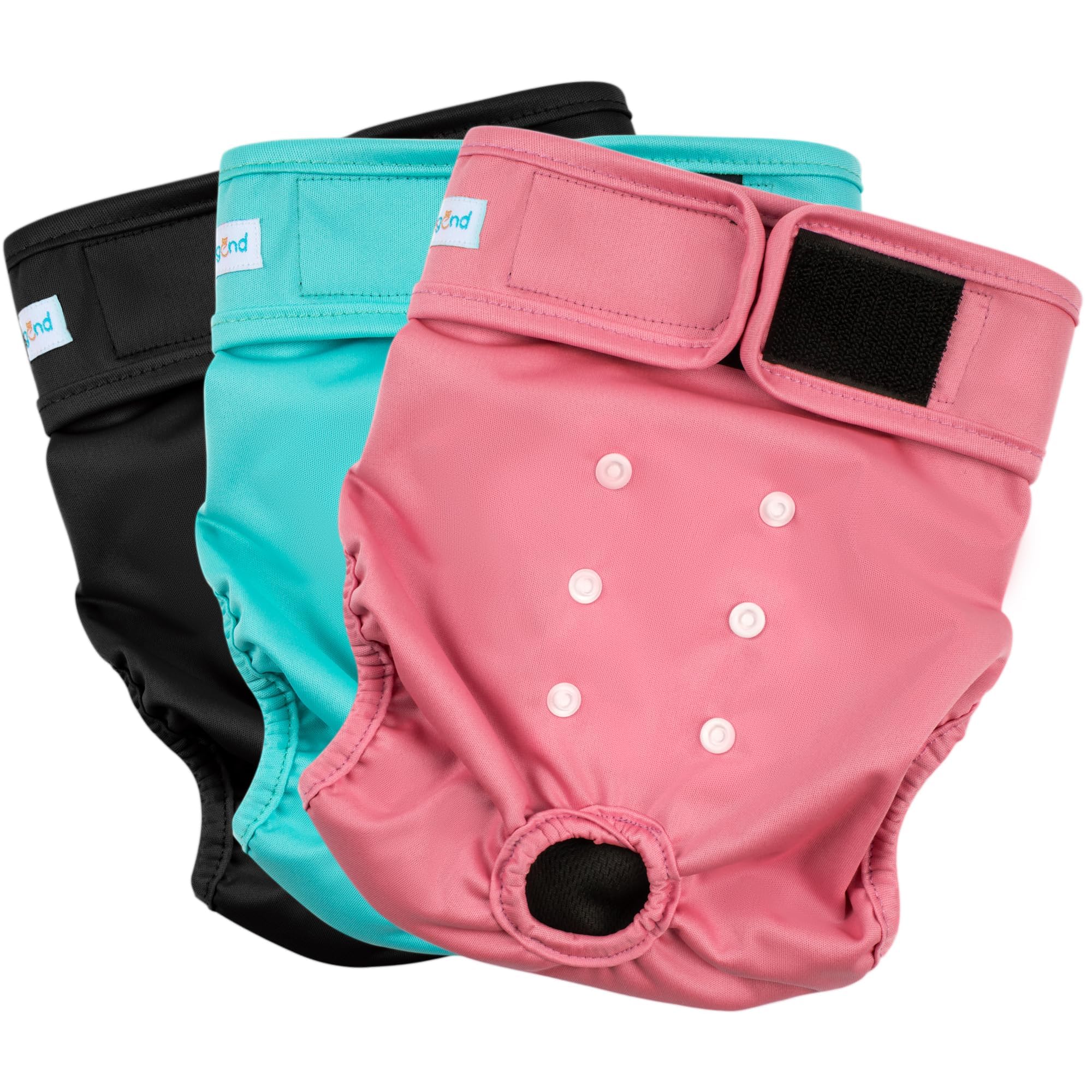 Couches Paw Legend en trio pour chienne femelle en chaleur