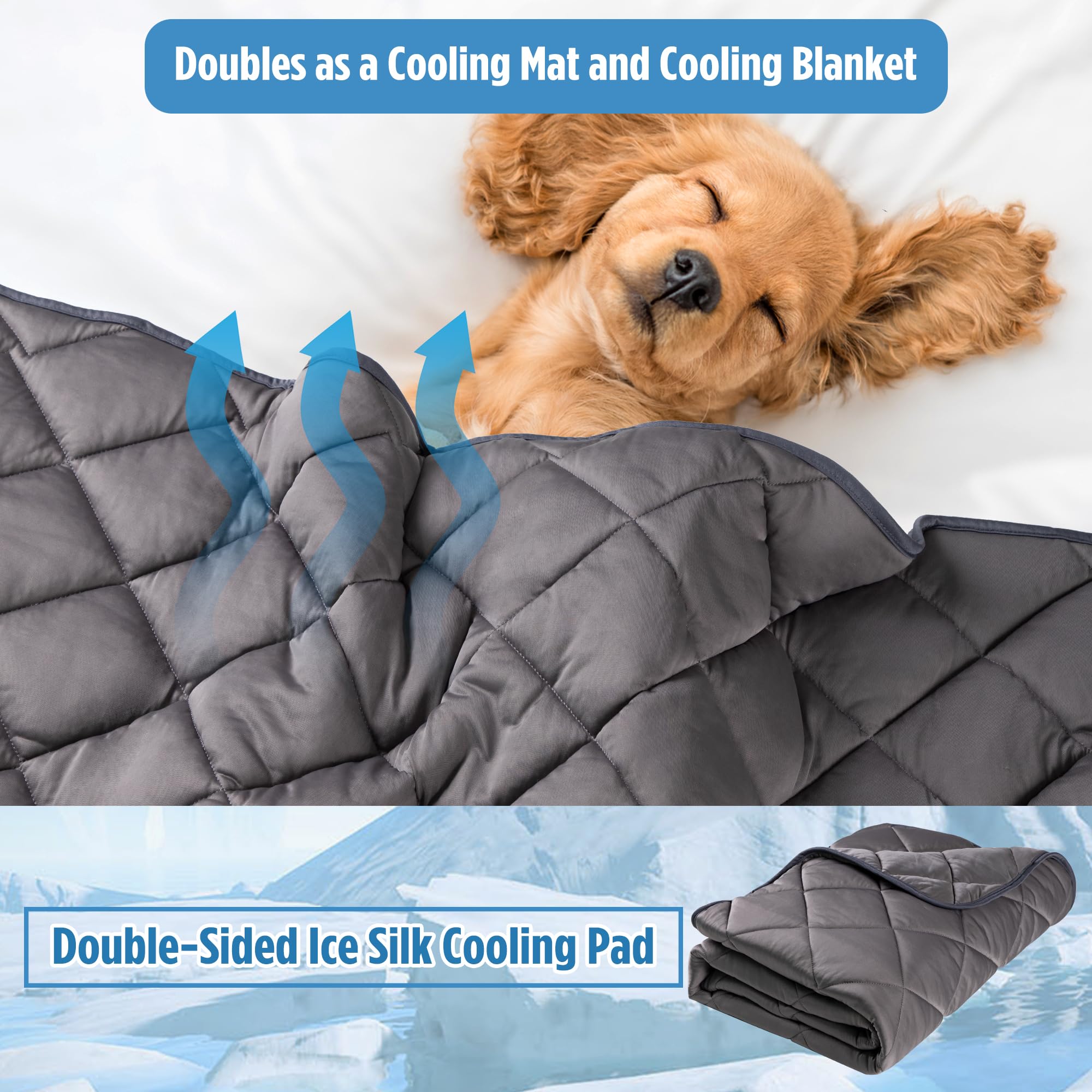 Coussin Refroidissant Paw Legend: usage en cage ou sur le lit.