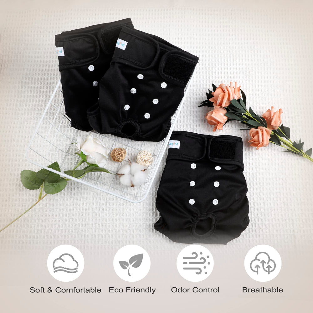 Fermetures Velcro ajustables Paw Legend, maintien sûr et rapide.