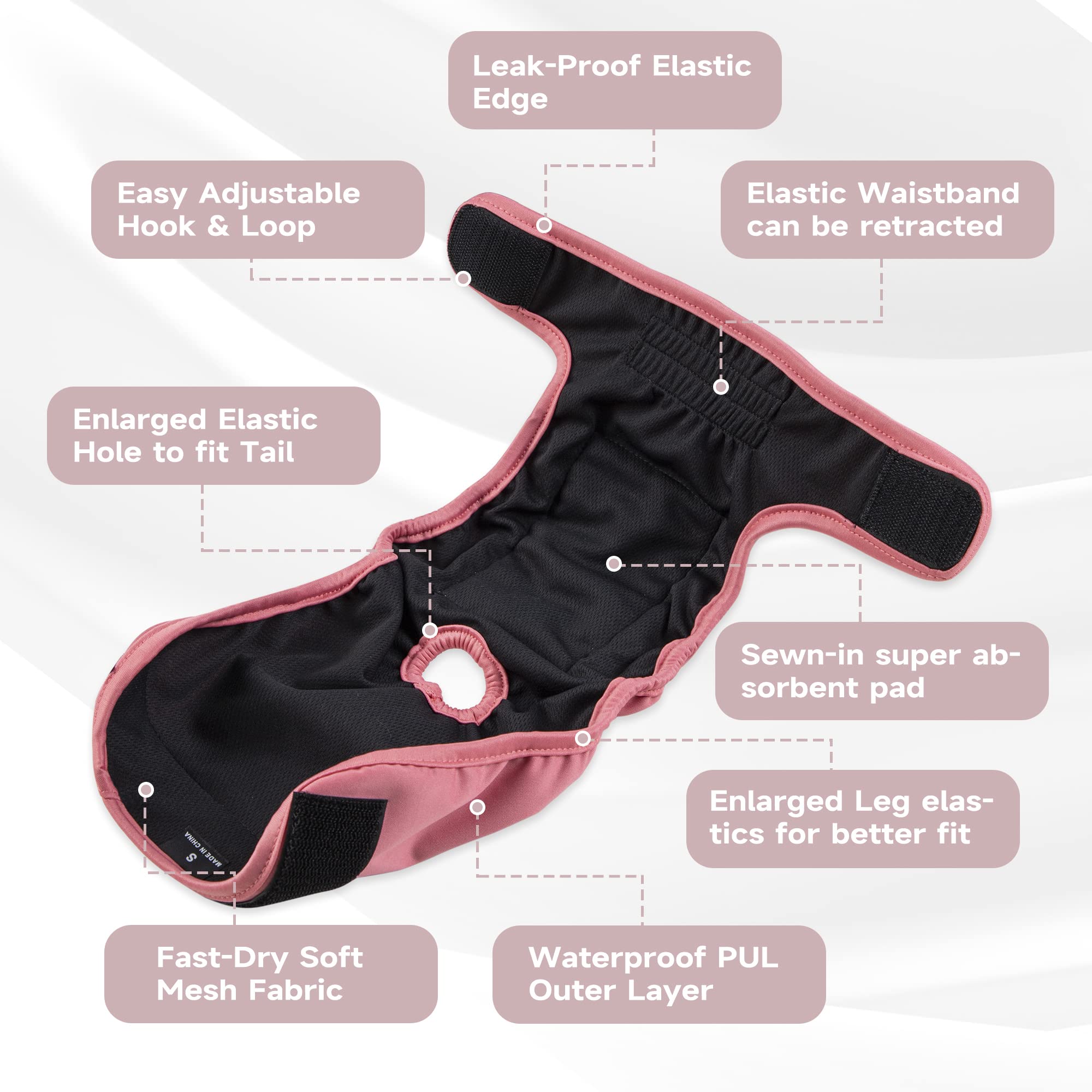 Guide tailles Paw Legend pour choisir taille chienne femelle
