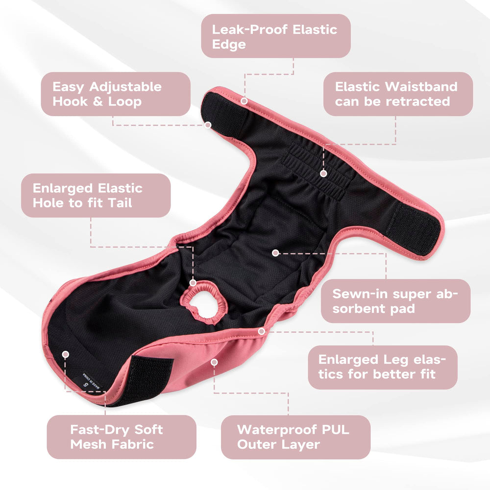 Guide tailles Paw Legend pour choisir taille chienne femelle