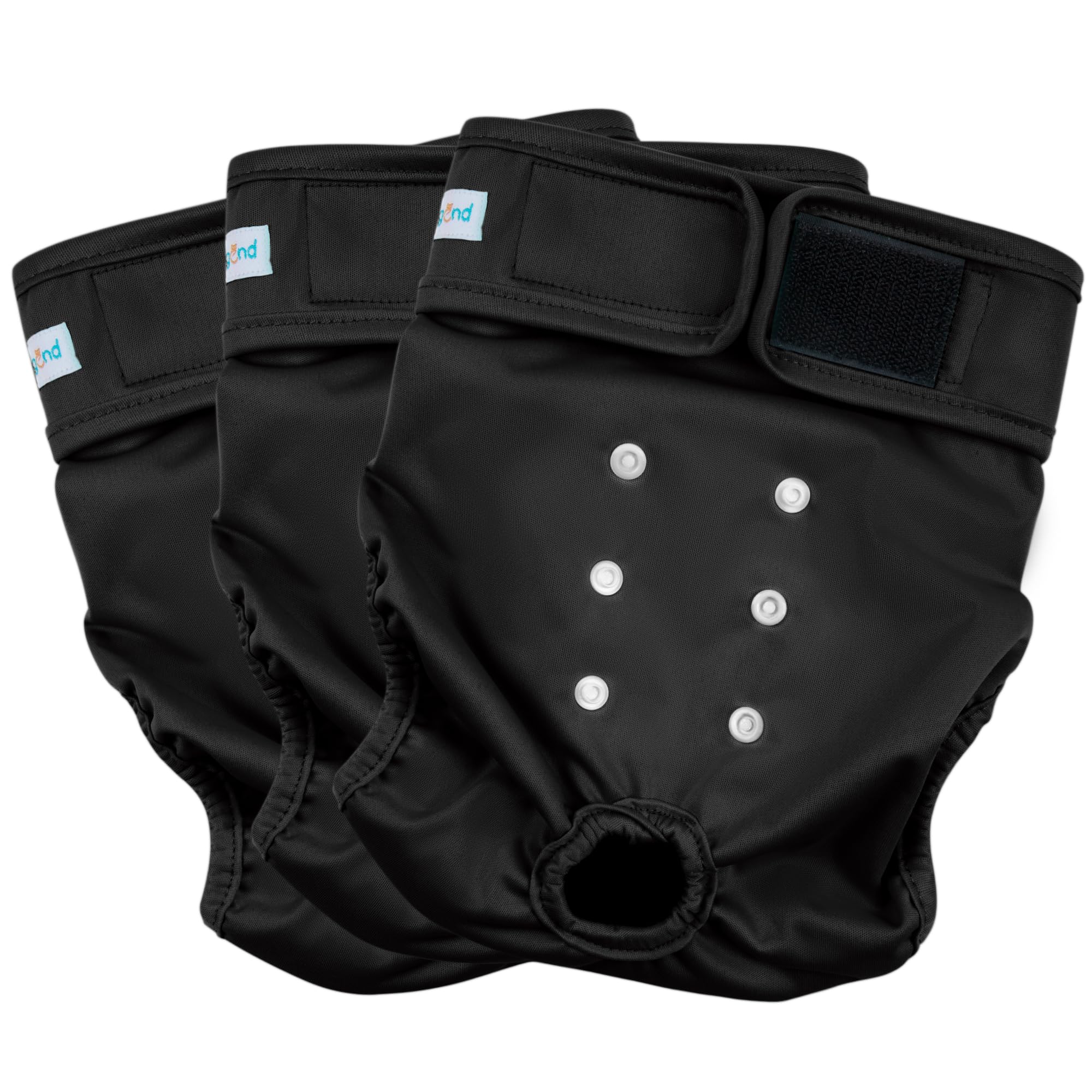 Paw Legend lot 3 couches femelles, solution pratique pour chienne en chaleur.