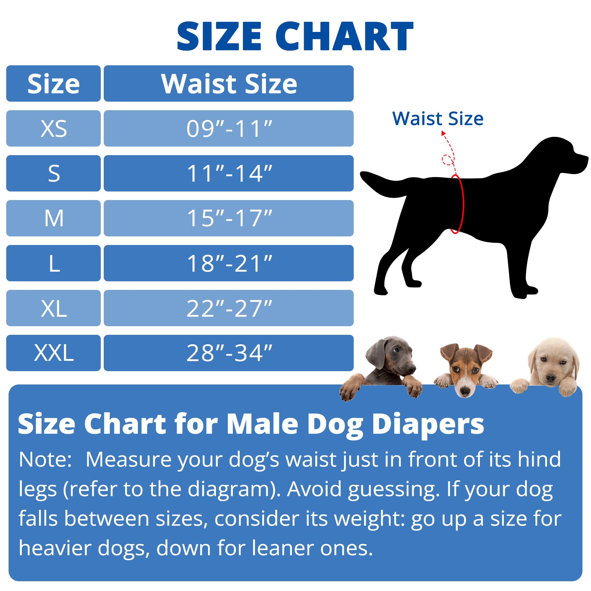 Paw Legend matière douce bande, douceur pour la peau du chien.