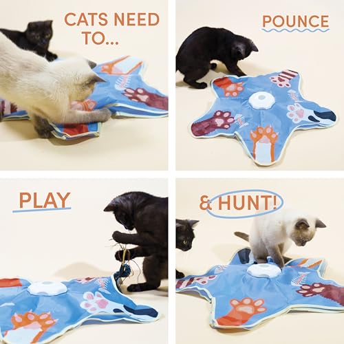 Paw Paw par Jeanne: queues interchangeables pour personnaliser le jeu et prolonger le plaisir.