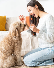Paw Ready brossage quotidien pour chiens – dents propres et haleine plus fraîche
