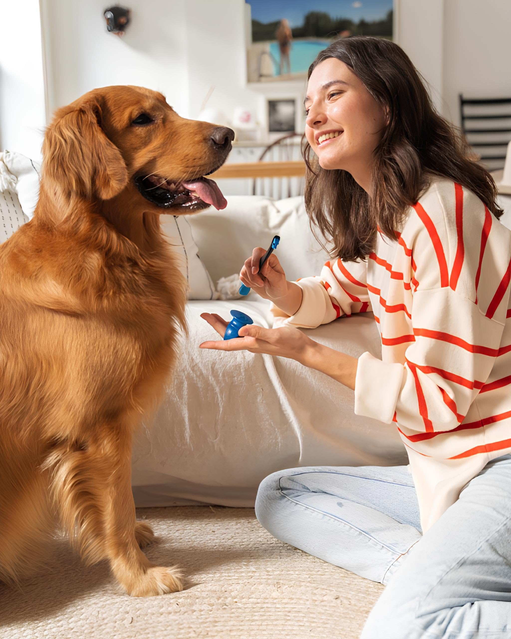 Paw Ready convient aux chiens et chats avec douceur et confort durant le brossage.