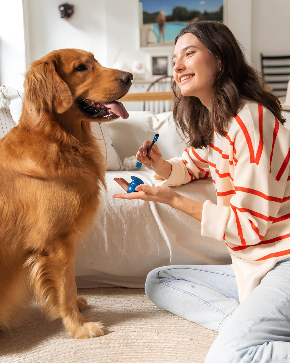 Paw Ready convient aux chiens et chats avec douceur et confort durant le brossage.