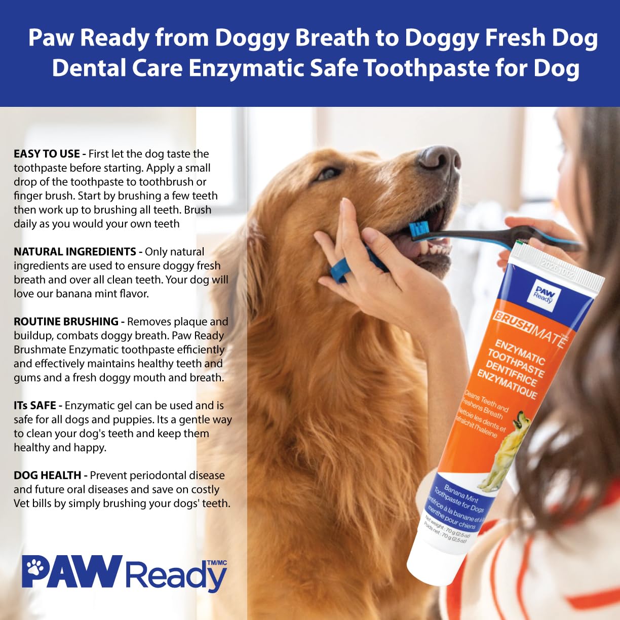 Paw Ready dentifrice enzymatique sûr pour chiens et chiots – soins faciles