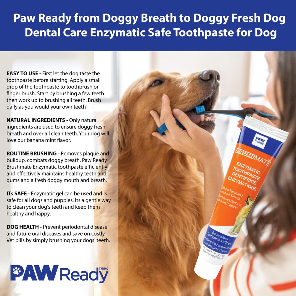 Paw Ready dentifrice enzymatique sûr pour chiens et chiots – soins faciles