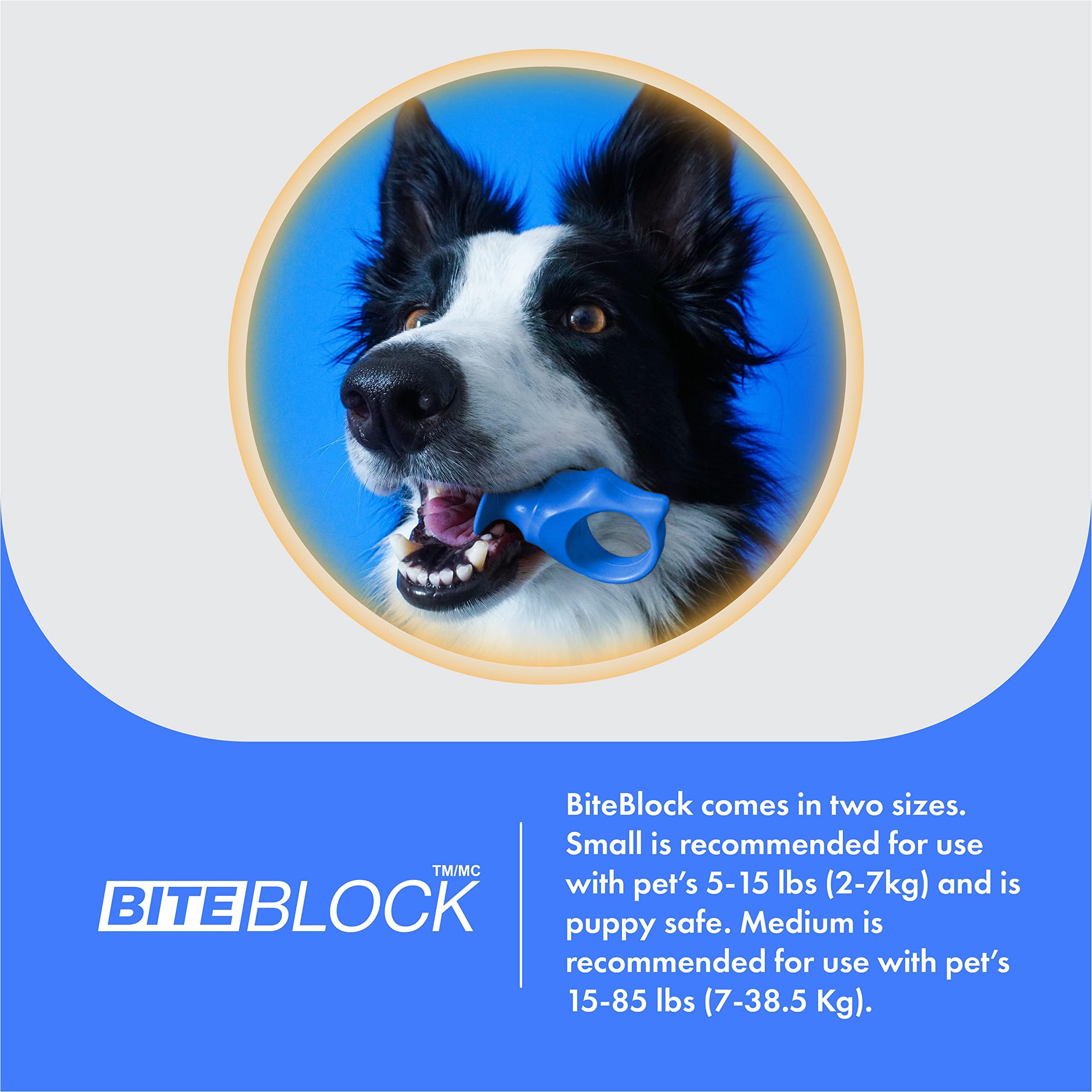 Paw Ready présente un design ergonomique pour chiens et chats.
