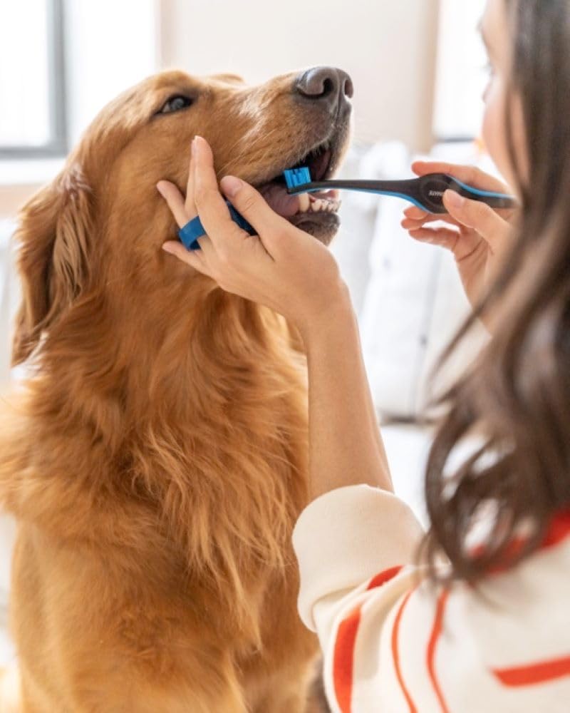 Paw Ready propose une solution dentaire efficace pour une haleine plus fraîche.