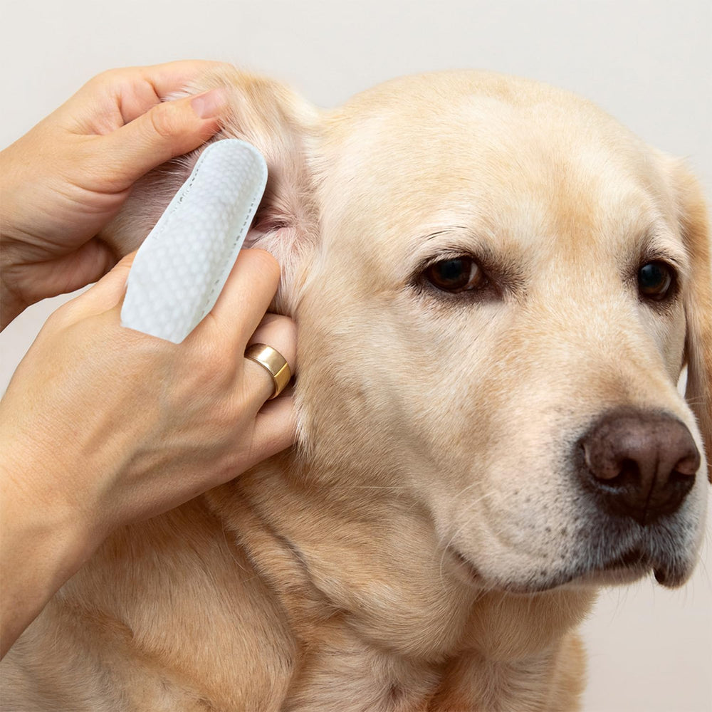 Lingettes Paw Science – ingrédients vétérinaires pour un nettoyage sûr.