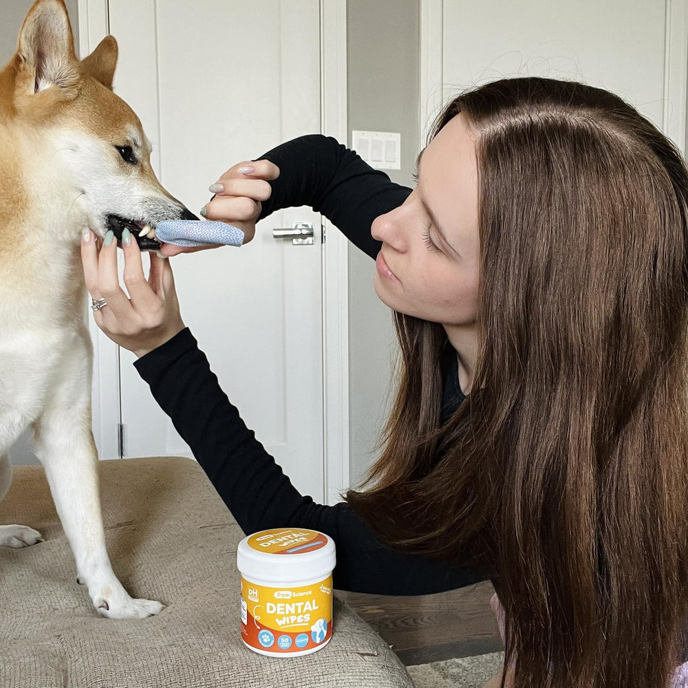 Paw Science Kit dents et brossage — ensemble pratique pour chiens et chats à la maison.