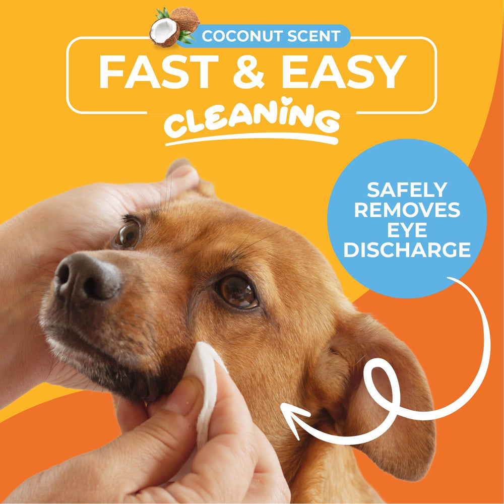 Paw Science lingettes yeux chat – nettoyage délicat pour prévenir les taches lacrymales
