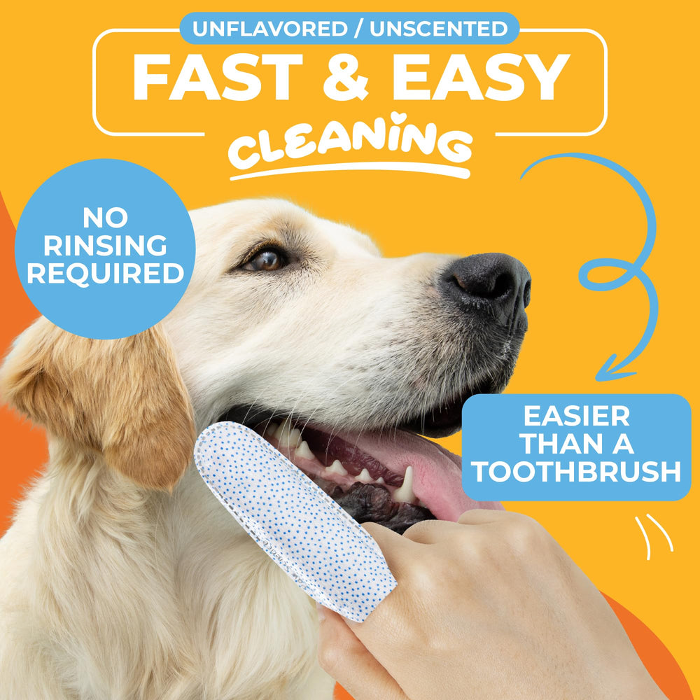Paw Science Nettoyage dentaire sans rinçage — pratique lors des soins quotidiens.