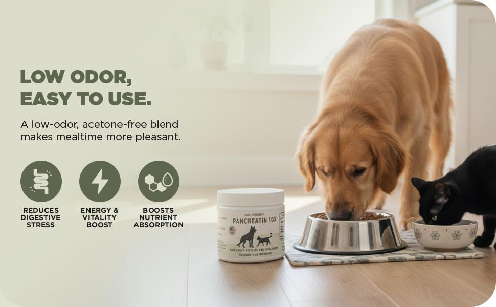 Pancreatin 10X Paw Vitality: enzymes digestives activant la digestion.