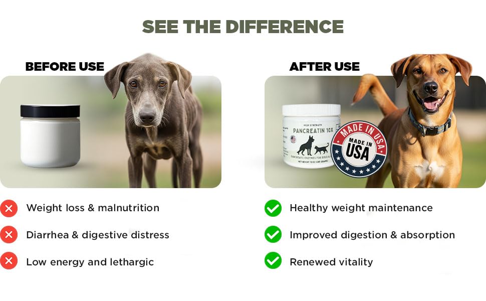 Produit Pancreatin 10X Paw Vitality à faible odeur, usage quotidien.