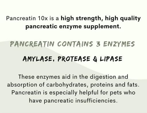 Soutien de la santé générale avec Pancreatin 10X Paw Vitality.