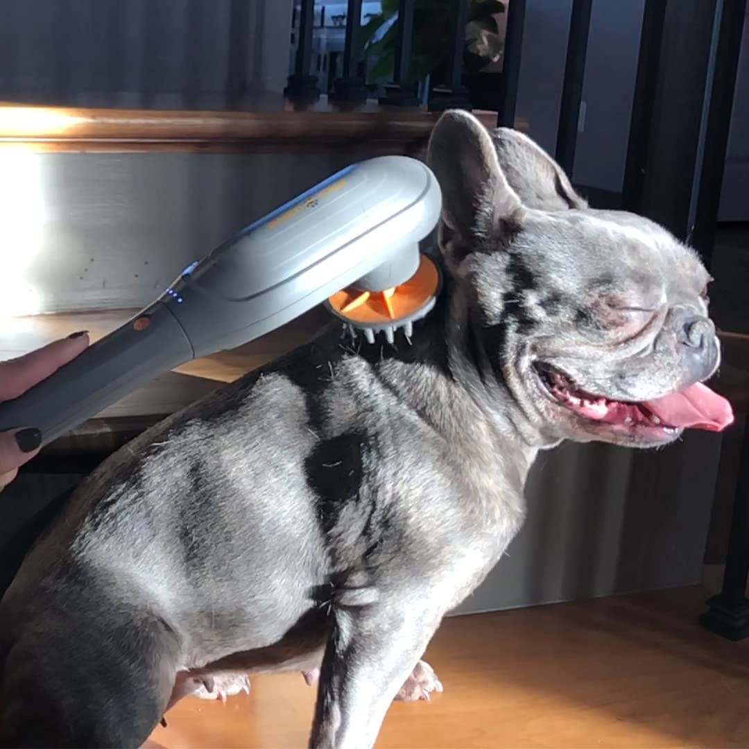 PAW WAVE PERK apporte du réconfort après le jeu et la marche.
