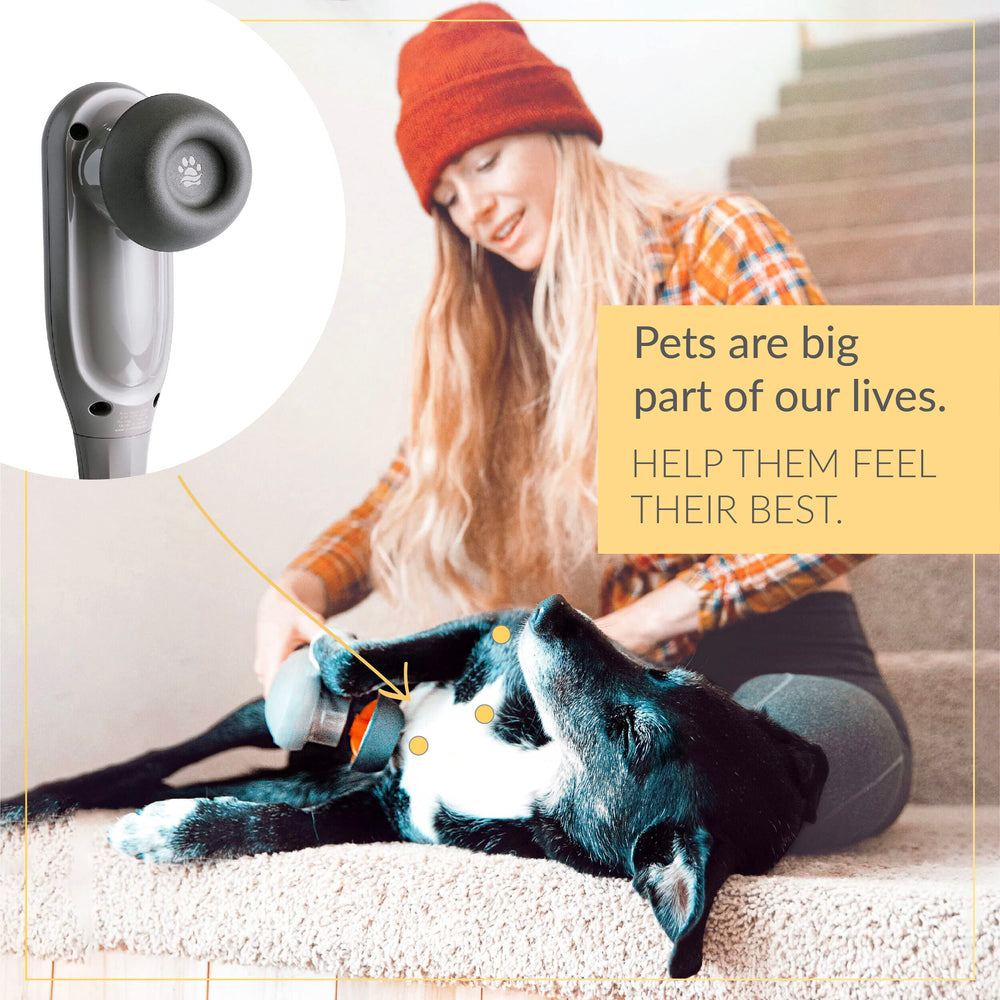 PAW WAVE PERK stimule la circulation pour une mobilité potentielle.
