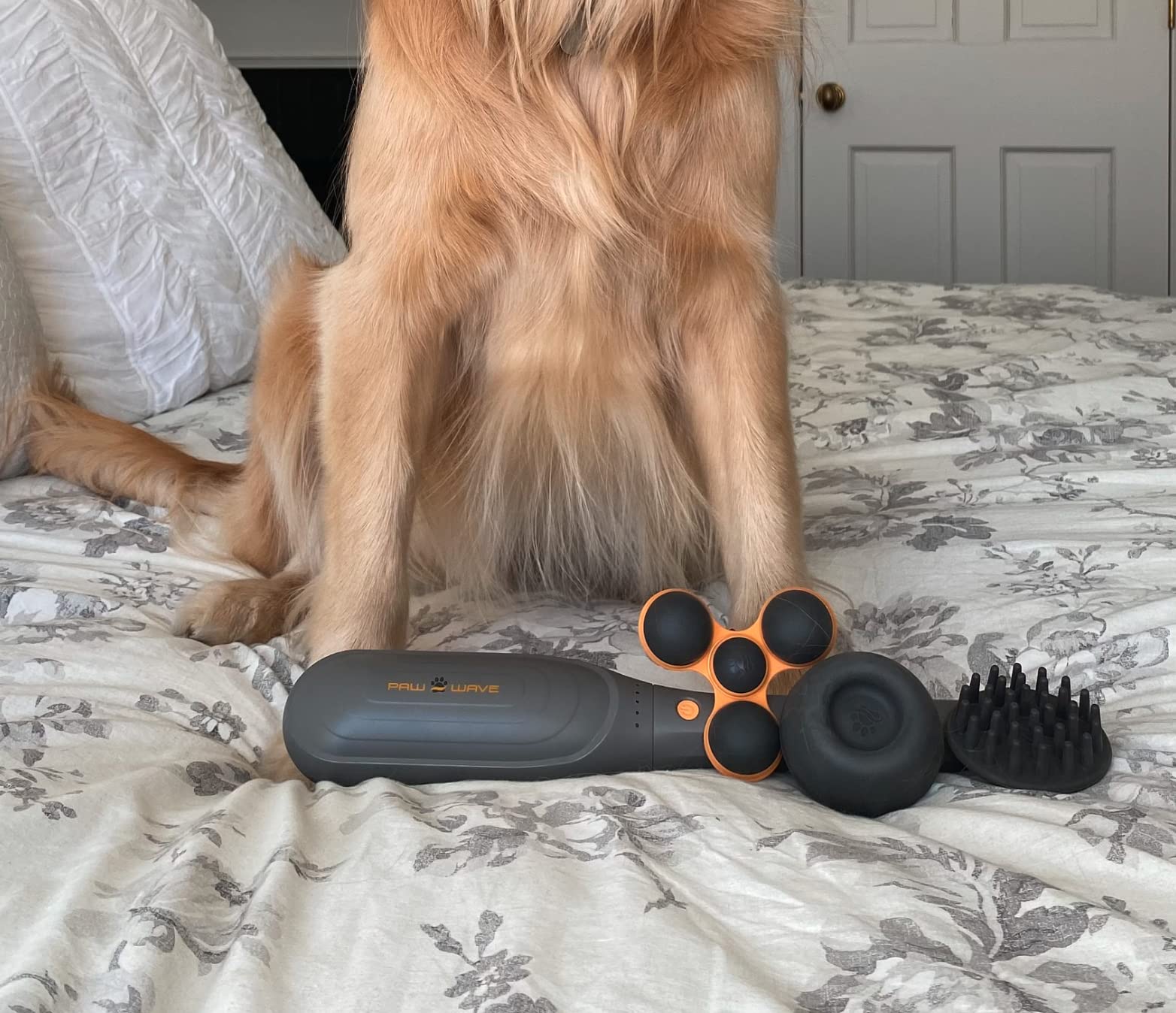 PAW WAVE PERK accompagné par votre vétérinaire lors des séances à domicile.