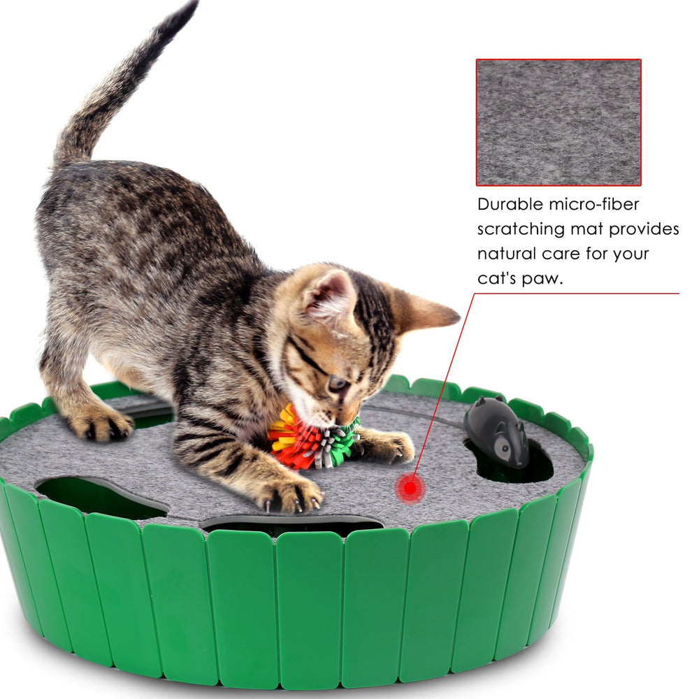 Pawaboo activite-interieure-chat-exercice : favorise l'activité physique et l'esprit vif.