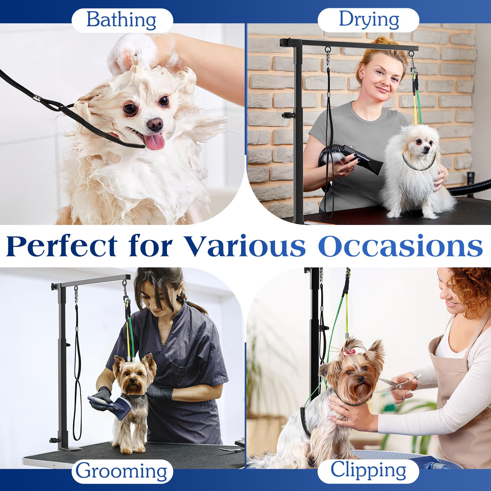Pawaboo coffret cadeau inclus, idéal pour offrir à un groomer amateur.