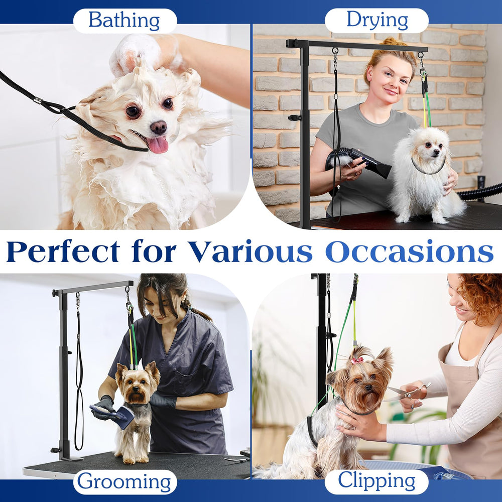 Pawaboo coffret cadeau inclus, idéal pour offrir à un groomer amateur.