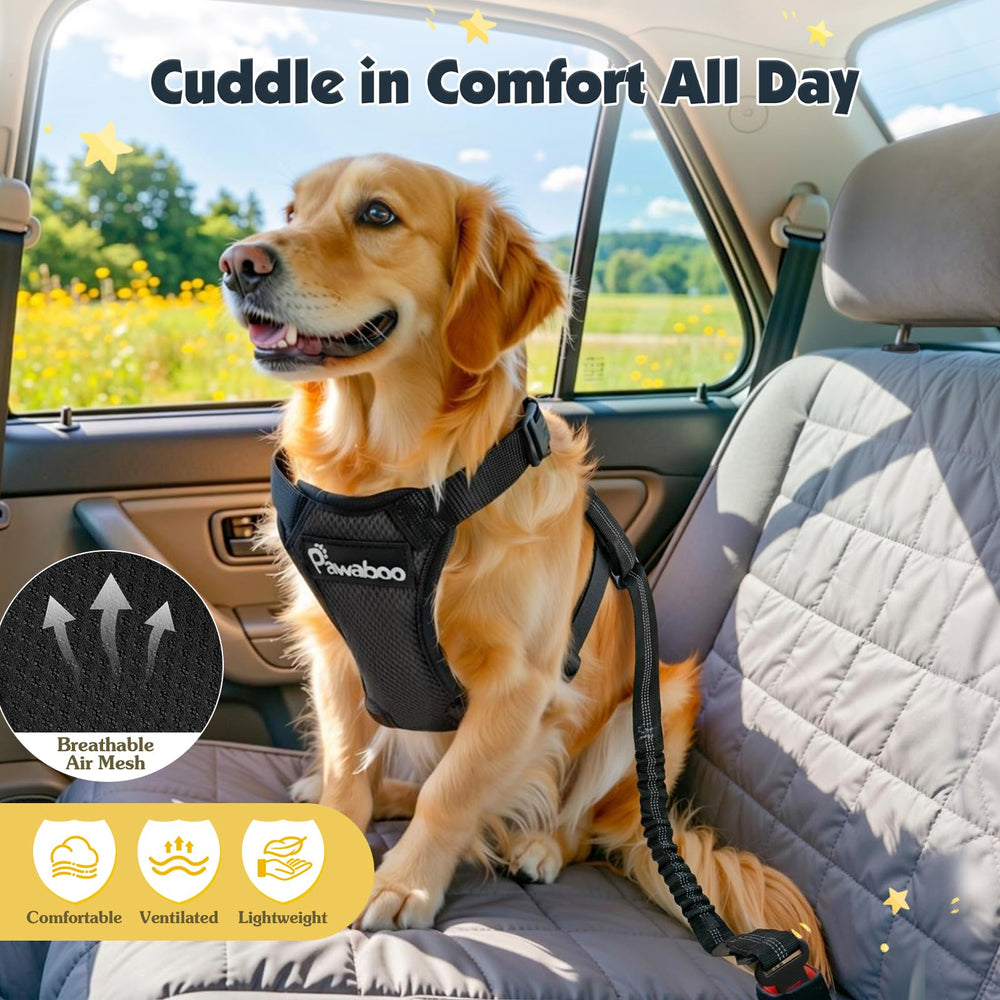 Anneaux dorsaux doubles renforcent la liaison au harnais Pawaboo.