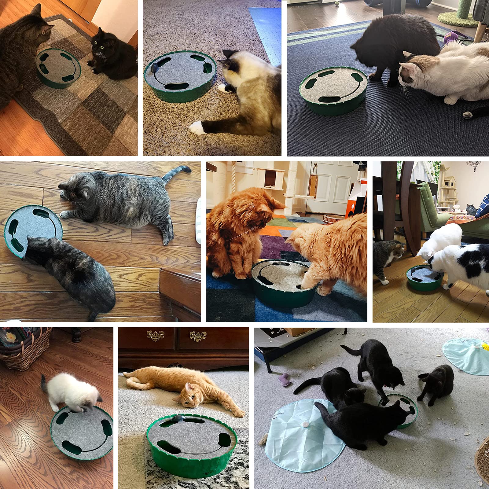 Pawaboo jouet-chat-auto-souris-course : encourage la chasse et l'observation chez le chat.