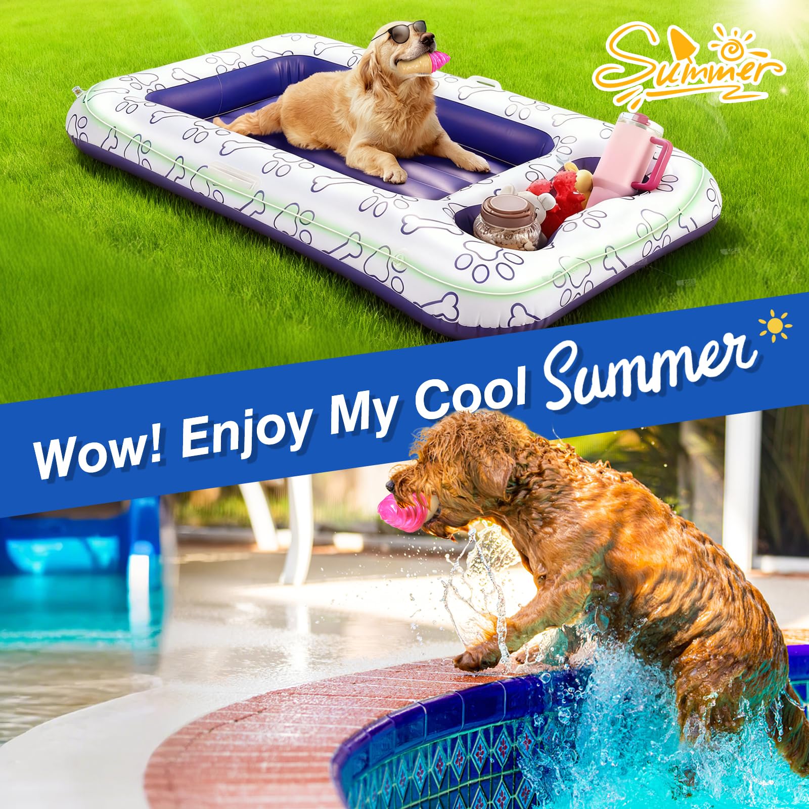 Pawaboo jouet fetch: parfait pour rapporter et renforcer le lien