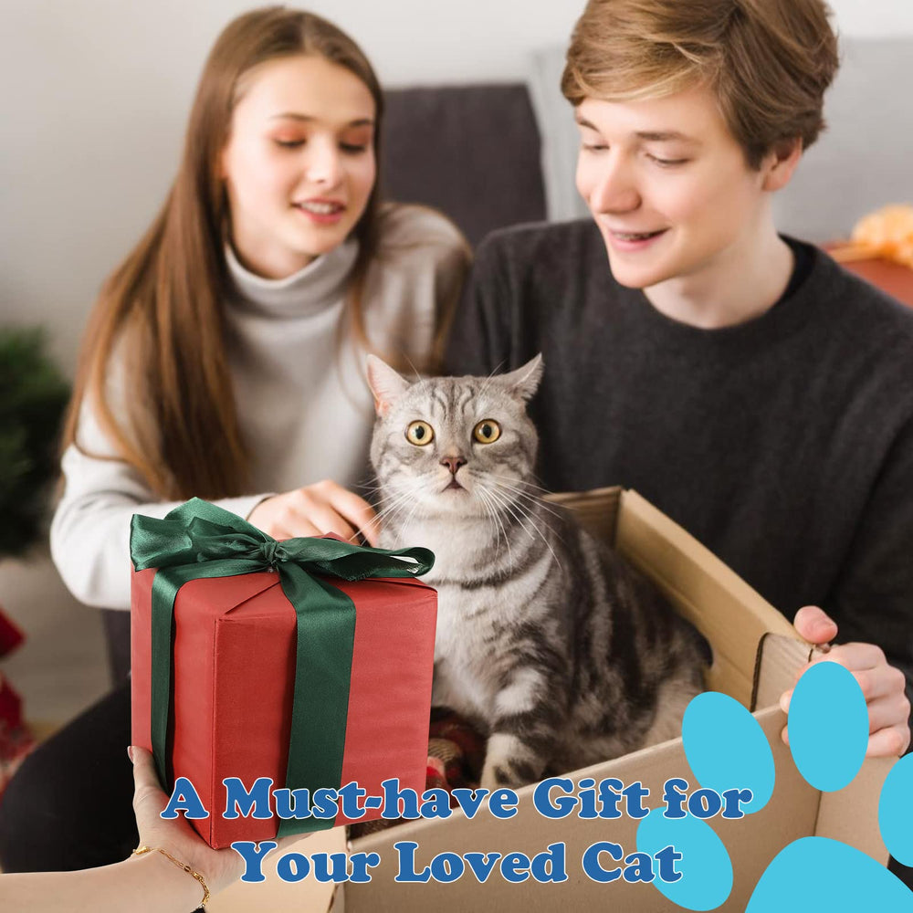 Kit Pawaboo: ensemble de jouets doux et durables pour chats