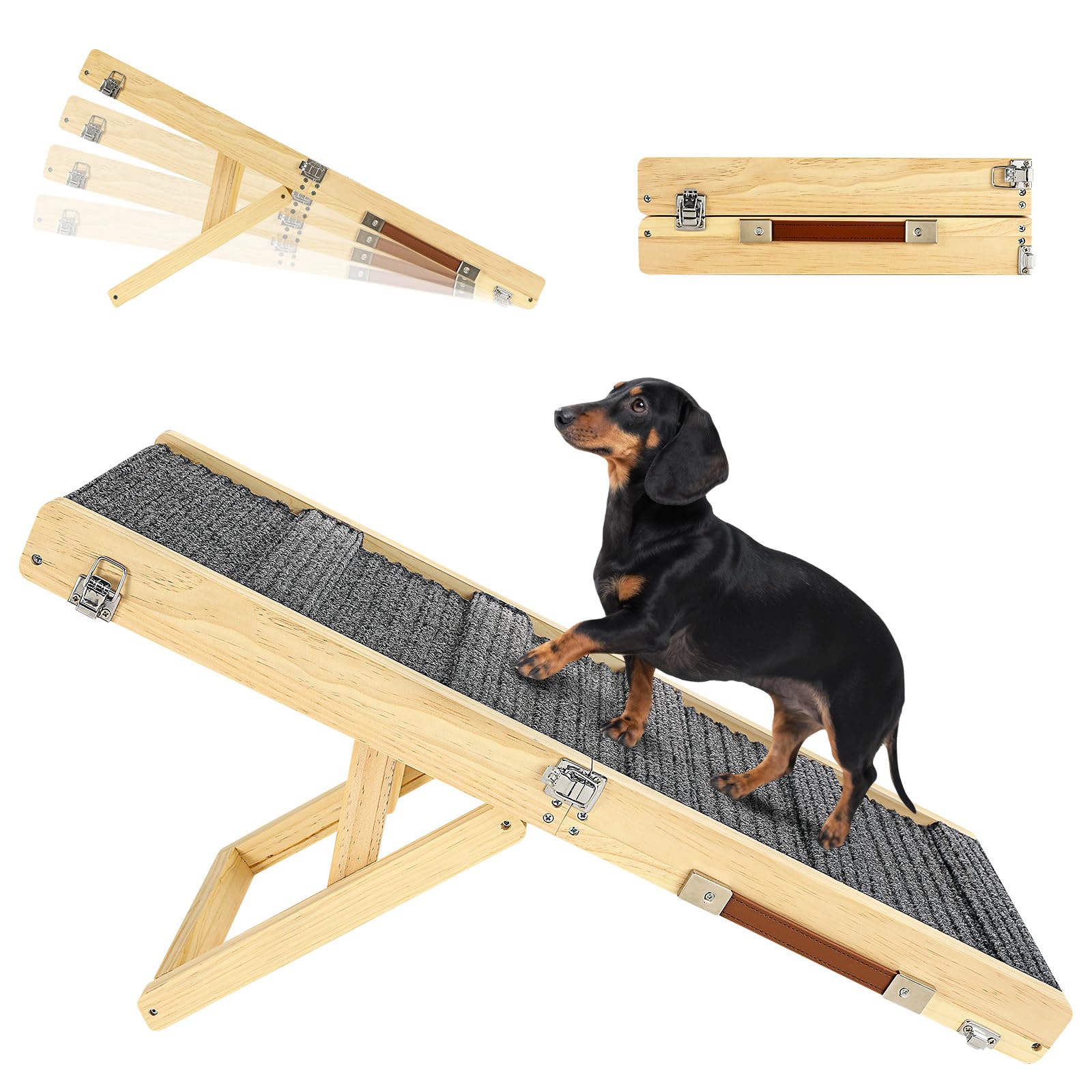 Rampe Pawaboo pour chien sur canapé, pliable et pratique.