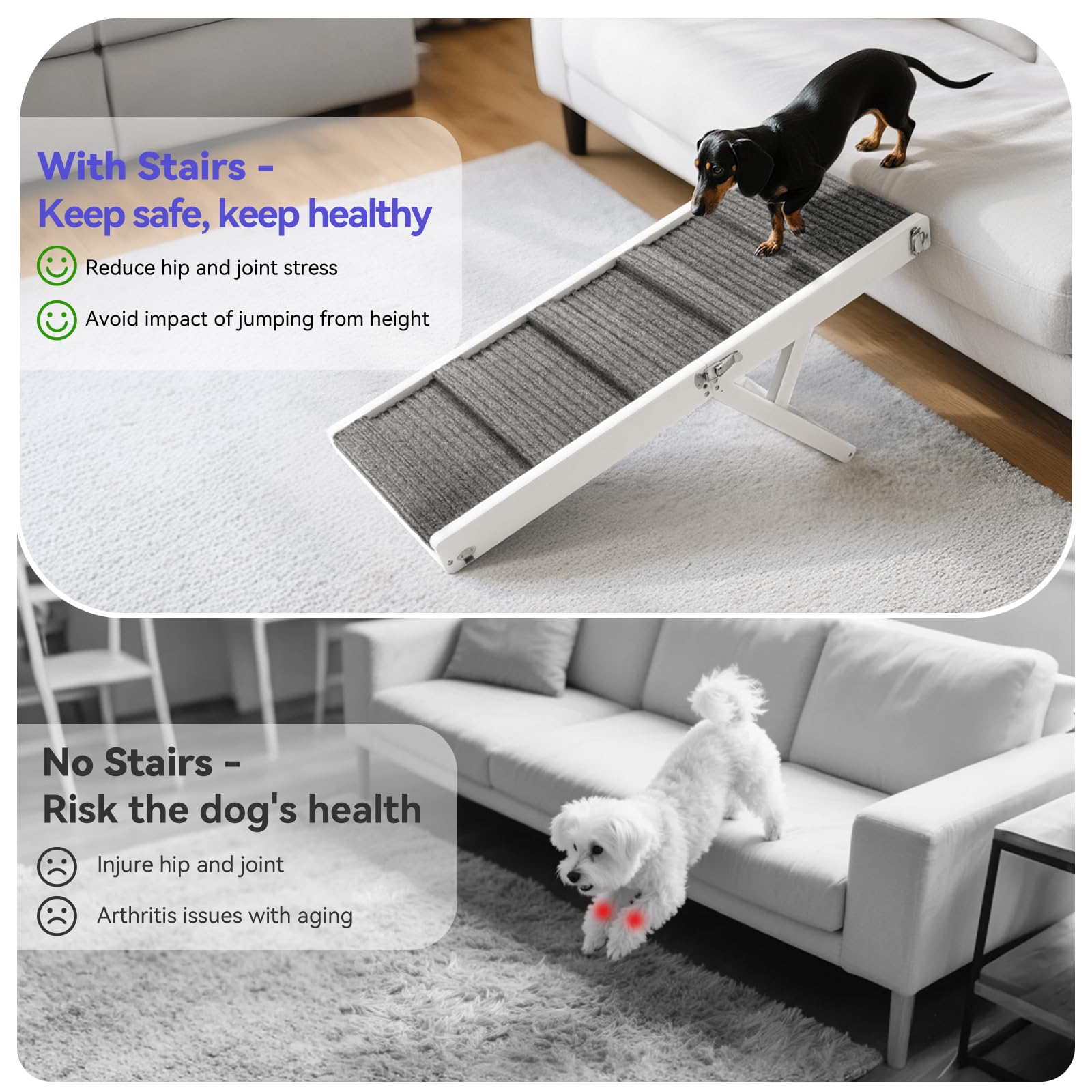 Pawaboo rampe chien hauteurs ajustables pour petits chiens et chiens ages