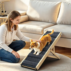 Pawaboo rampe chien pliable pour faciliter l'accès au canapé.