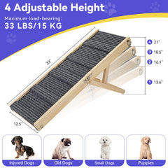 Pawaboo rampe avec tapis antiglisse pour traction sûre.