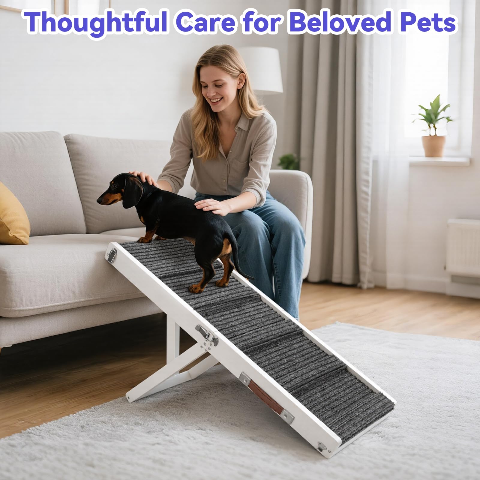 Pawaboo rampe transportable pliable ideale en voyage