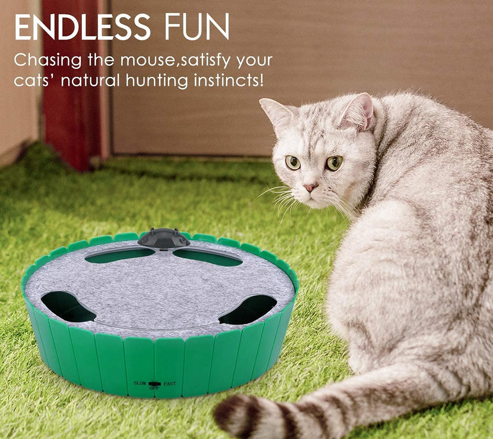 Pawaboo souris-en-mouvement-dynamique : jeu interactif qui satisfait l'instinct de chasse.