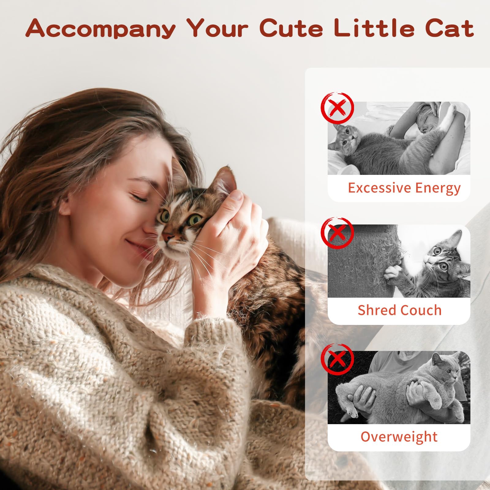 Pawaboo teaser objet ludique leger favorise une interaction durable.