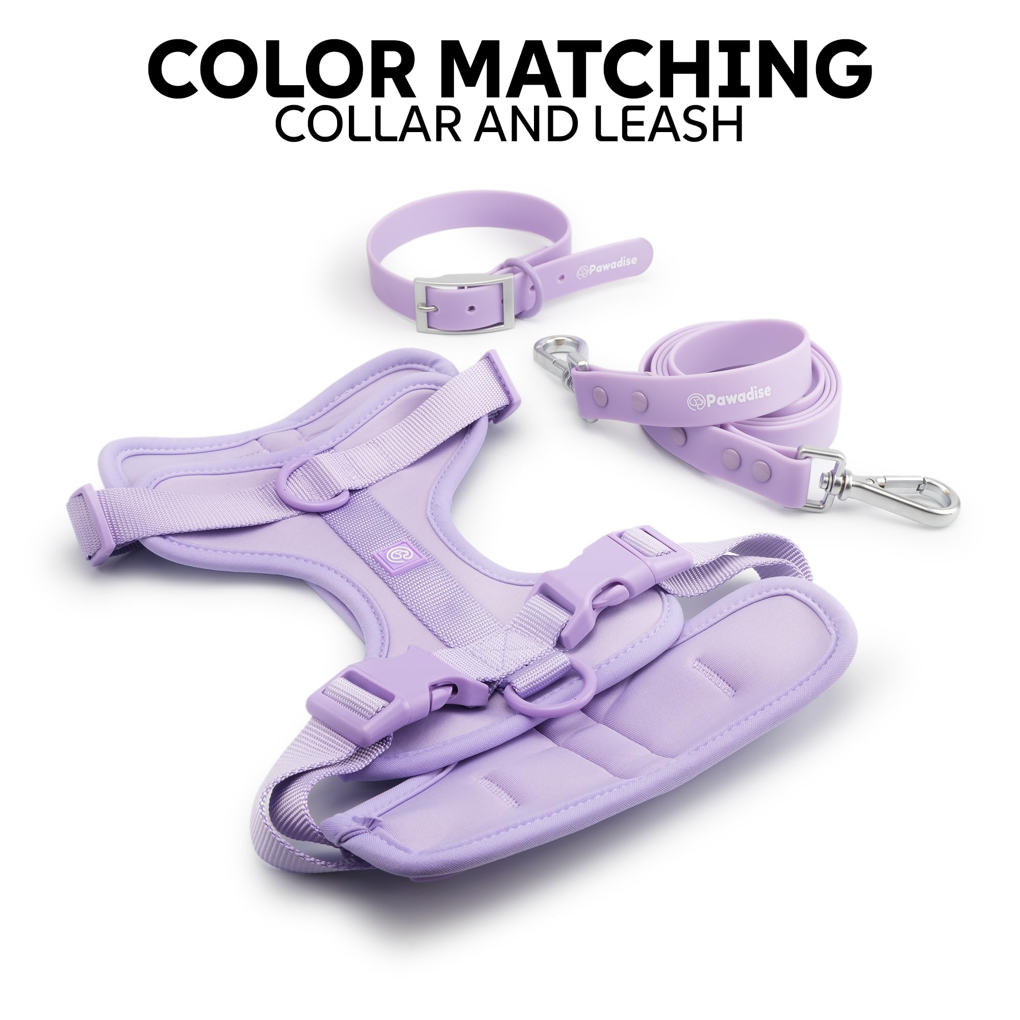 Collier PAWADISE lilas étanche et facile à nettoyer pour tout temps.