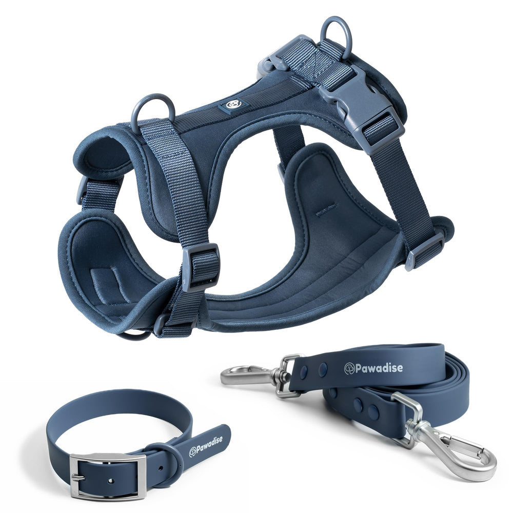 PAWADISE harnais-collier-laisse bleu moyen, ensemble durable pour les sorties quotidiennes.